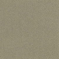 Brintons Majestic Willow m 324 фото 1 | FLOORDEALER